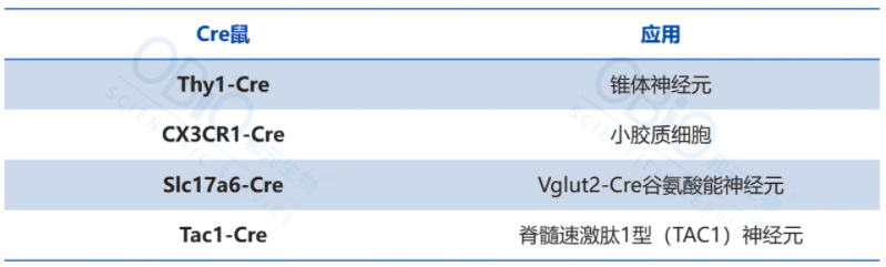 UG(й)ٷվ
